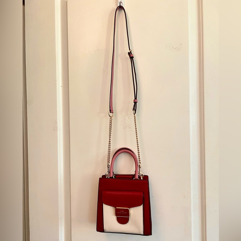 Valentine’s Day Coach Crossbody/Handbag